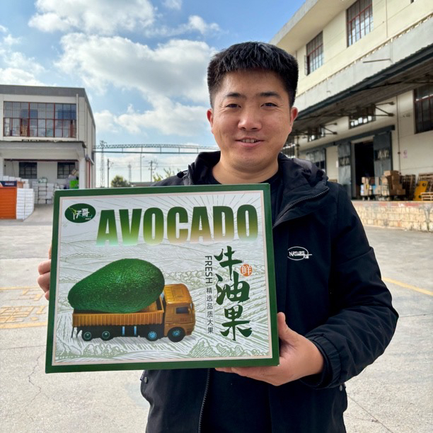 【牛油果礼盒装】云南孟连哈斯牛油果300g以上巨无霸6个