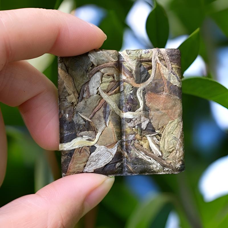 2025年云南古树白茶小方片清幽淡雅花香浓郁，入口甘甜8克一片