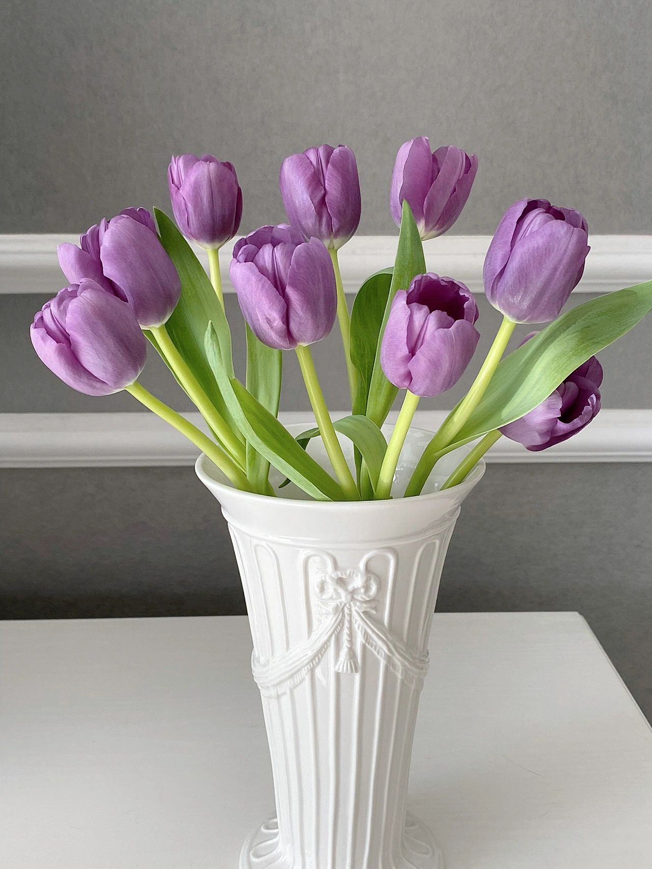 迷雾郁金香紫色系水培稀有品种鲜花