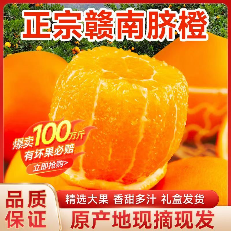 正宗赣南脐橙5/10斤现摘现发橙味充足细腻爆汁原产地采摘皮薄