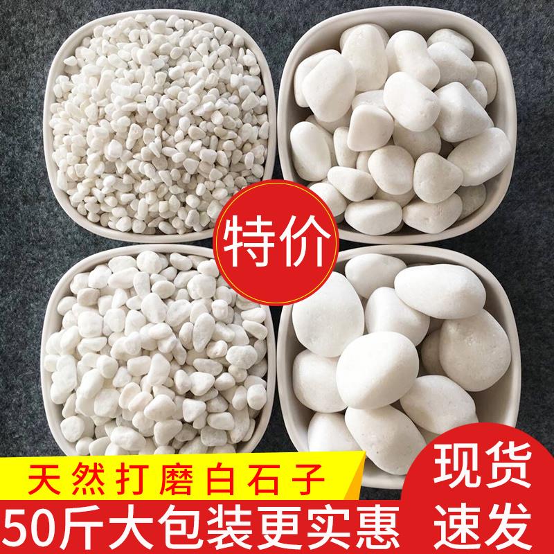 【亦娜】50斤白色石子石头大鹅卵石庭院铺路铺地小白石花园造景景