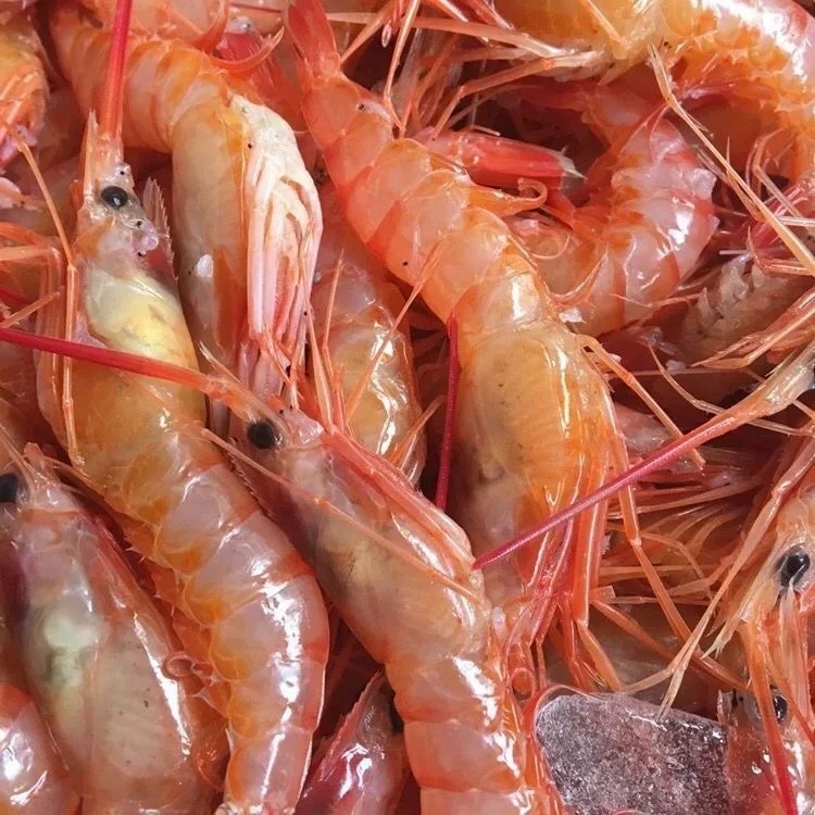 【东海野生红虾3斤】刺身级别超低温速冻三大金