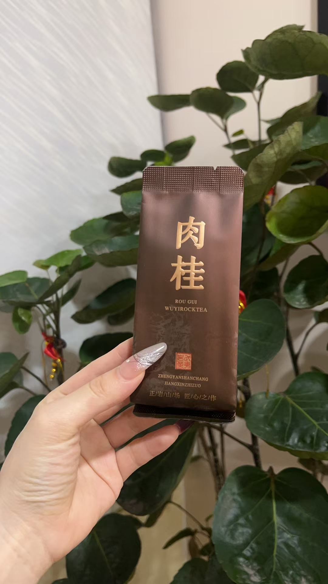 老姚精选好茶1泡