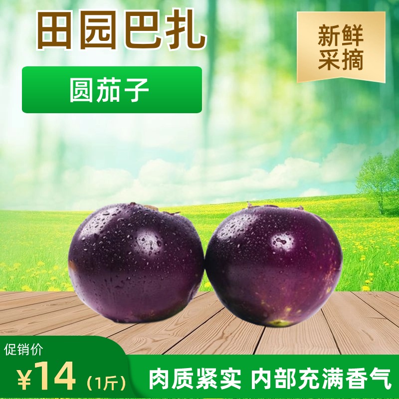 乌市包邮新鲜现采茄子高寒高原菜无化学农药无人工添加剂1斤