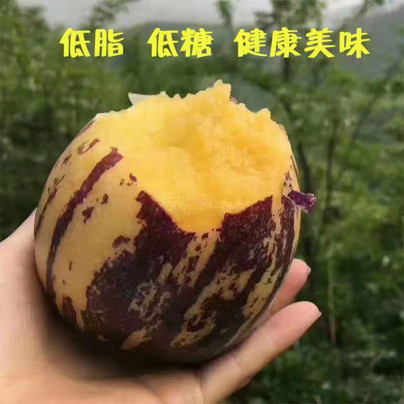 【牧阳】沙漠人参果甘肃民勤黄肉应季新鲜人生果低糖孕妇水果
