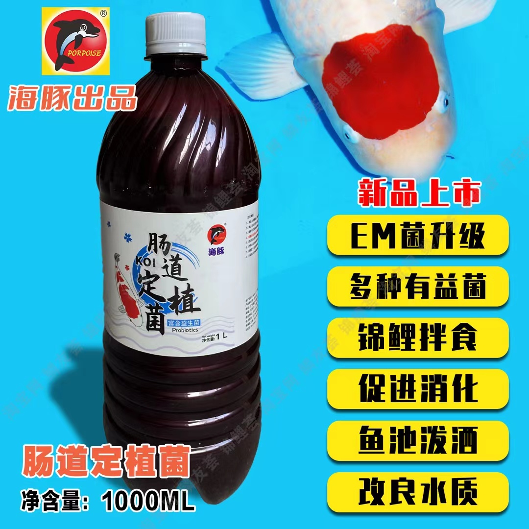 【海豚】肠道定植菌鱼池鱼缸锦鲤专用富含营养益生菌促消化改良水质