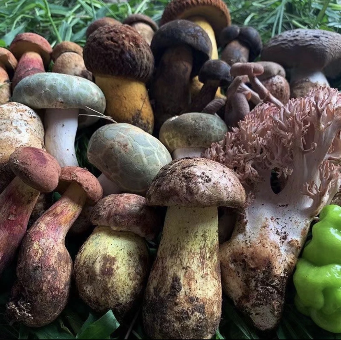 云南山货临时链接250g土特产农产品