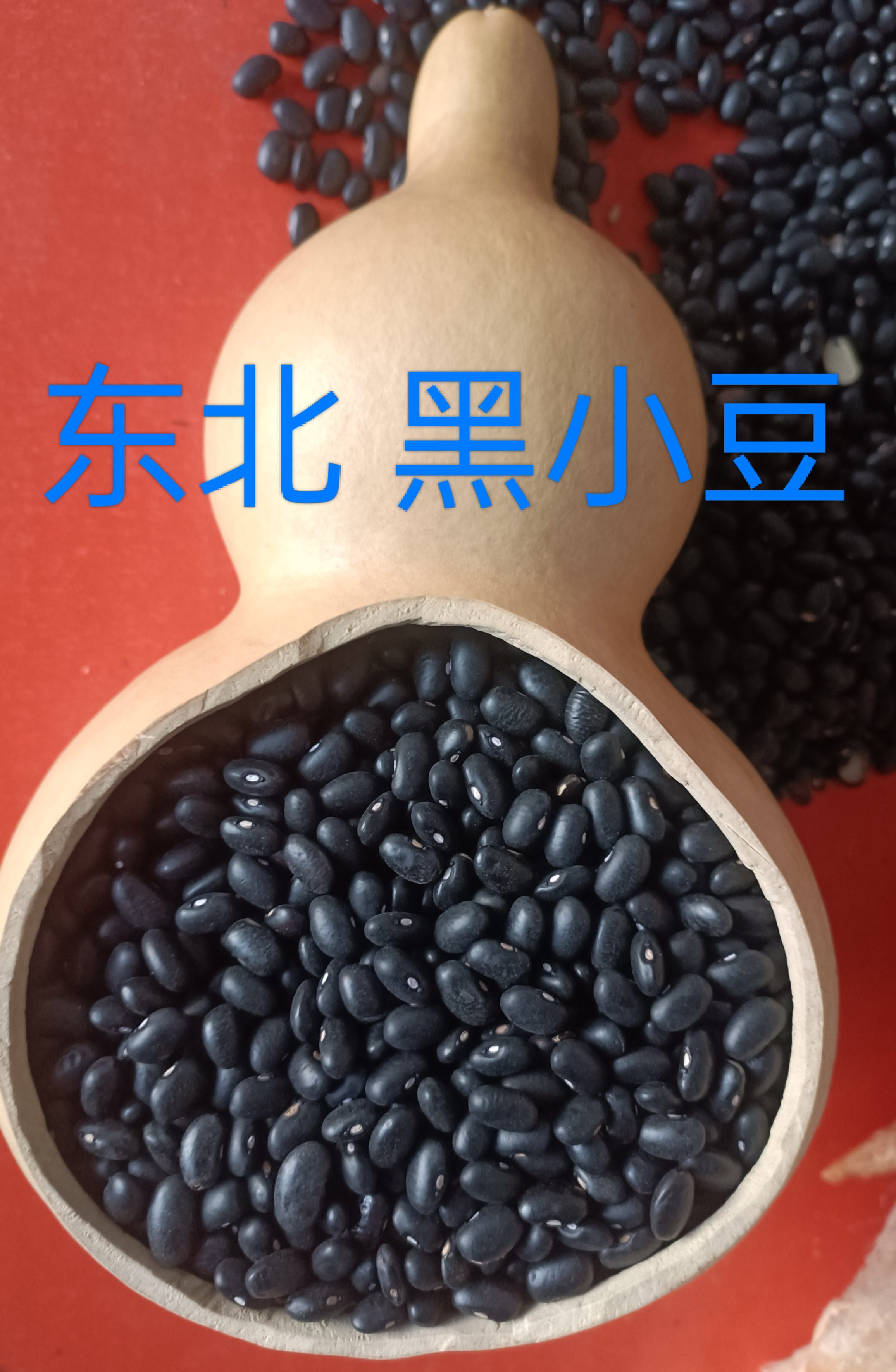 东北黑龙江黑小豆黑大豆小黑豆5斤包邮黑豆豆豆黑饭豆