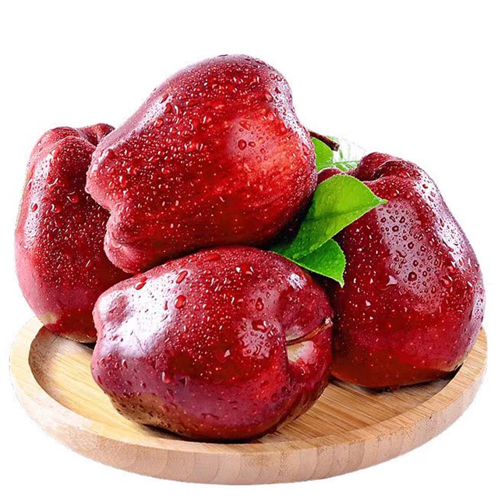 秦人礼甘肃高山花牛苹果脆粉香甜苹果中小果带箱十斤24个左右包邮