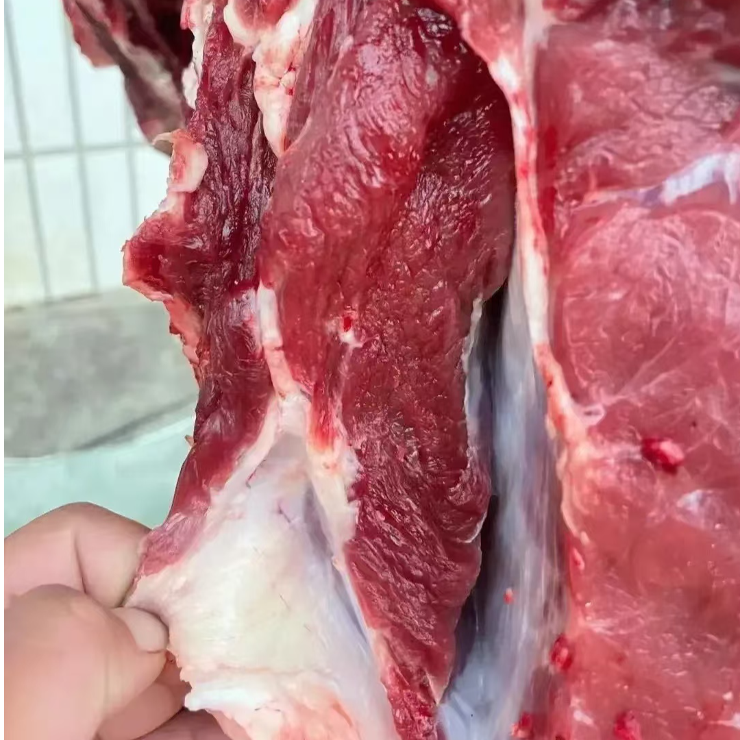 贵州本地土黄牛 鲜牛肉48一斤4斤起拍