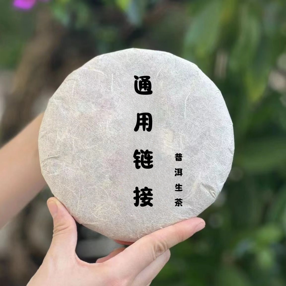 【正炁堂】（生茶）通用链接 普洱生茶30g-2500g