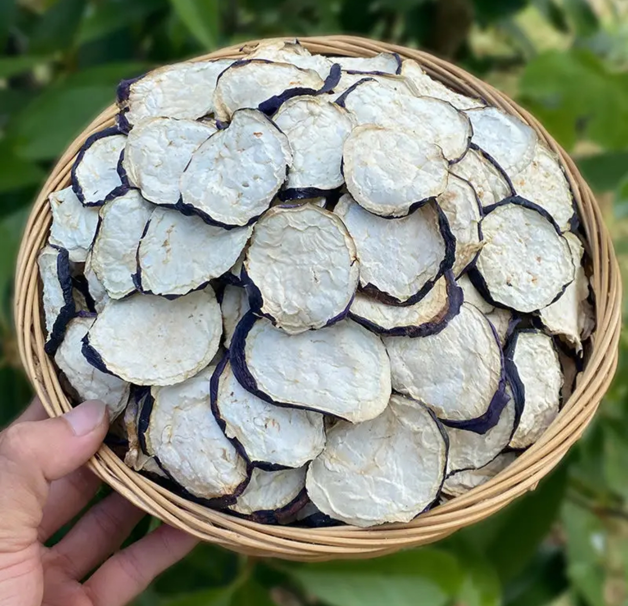 东北农家晾干茄子片250起精选包邮
