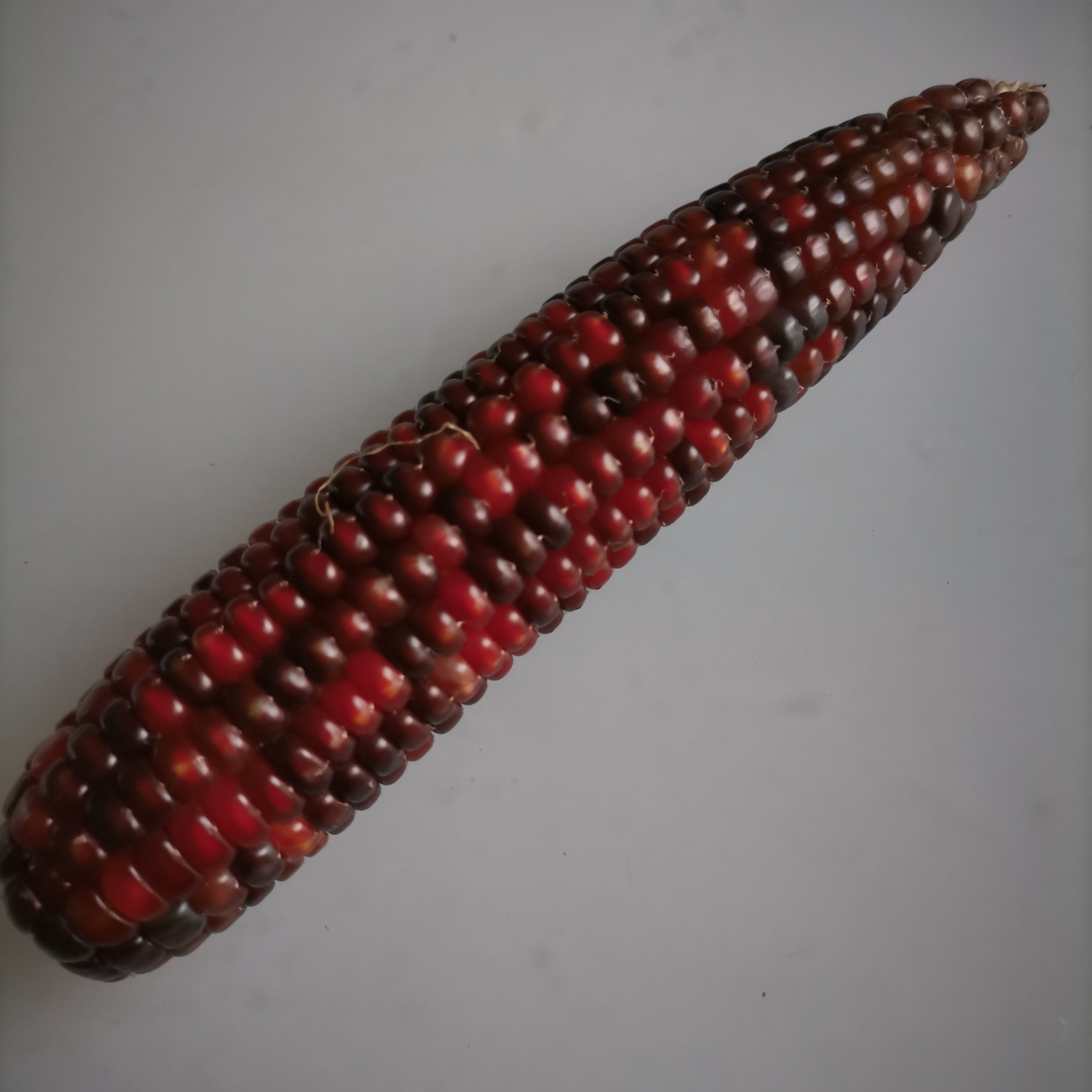 小玉米手把件直播间链接