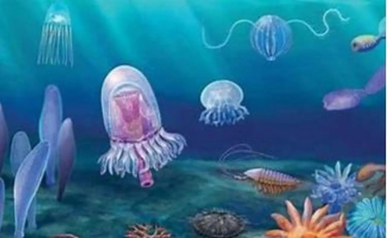 文创摆件，奇石工艺品。