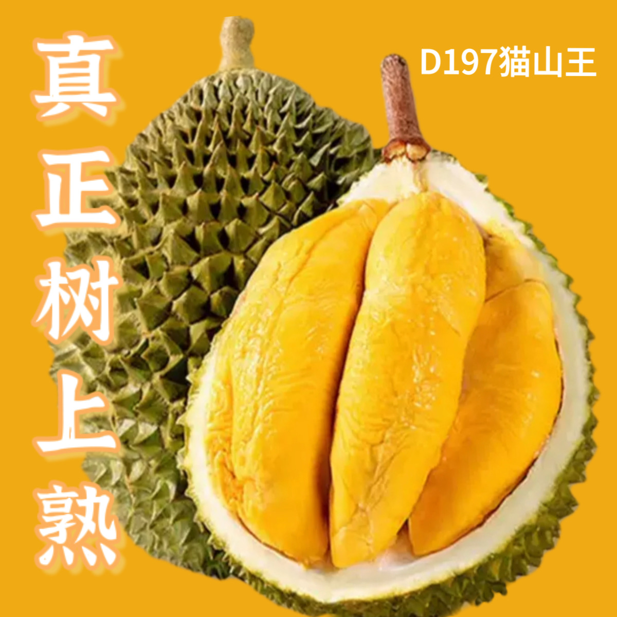 猫山王D197AA果马来西亚树熟当季新果色泽金黄香浓醇香