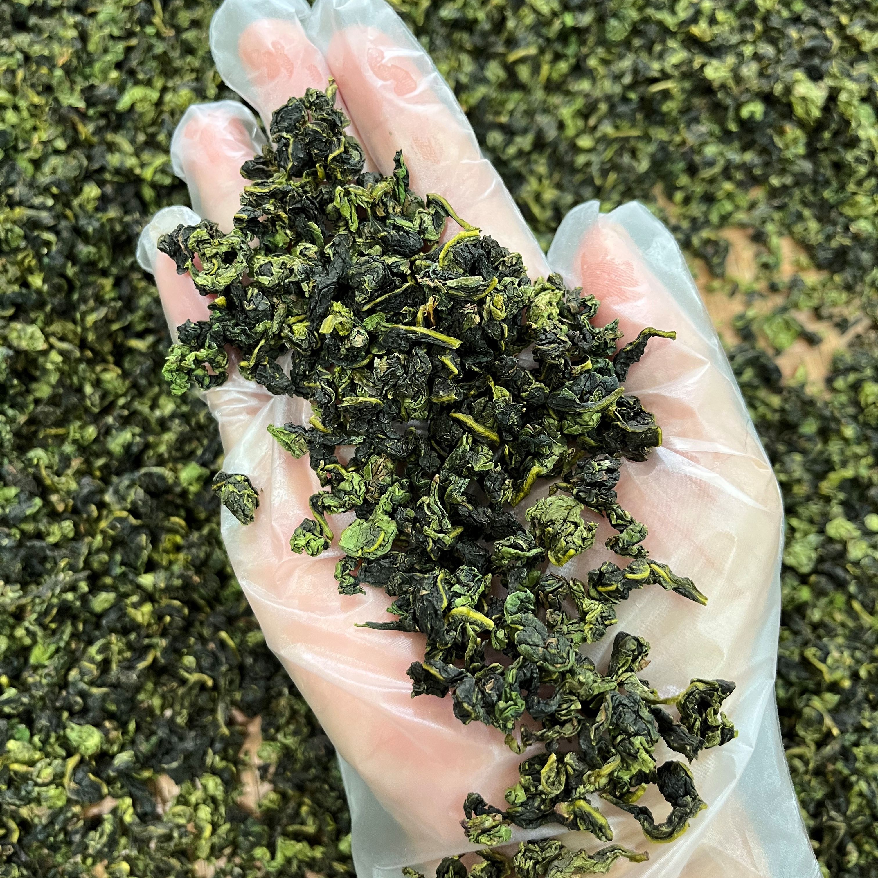 正宗安溪感德高山清香兰花香铁观音