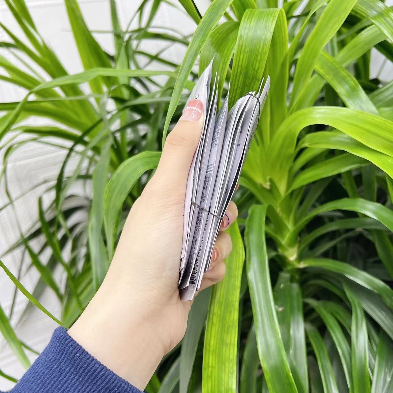 【雪花飘飘？油？痒？退退退！】自自在在的洗发水