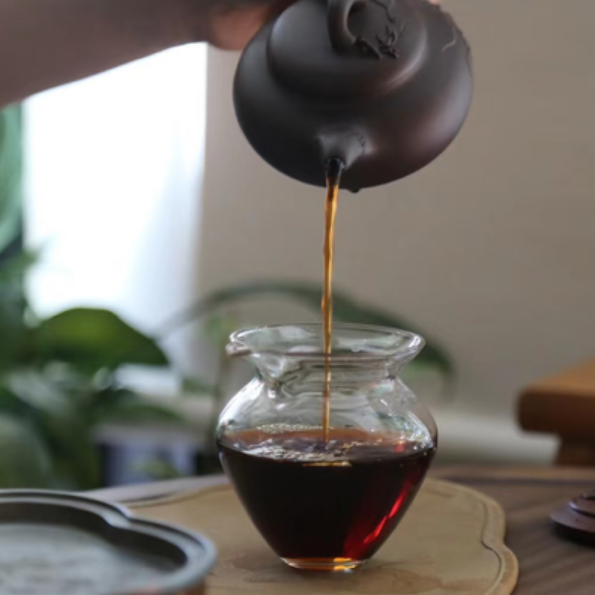 钱掌柜的普洱茶 2024年0081大饼