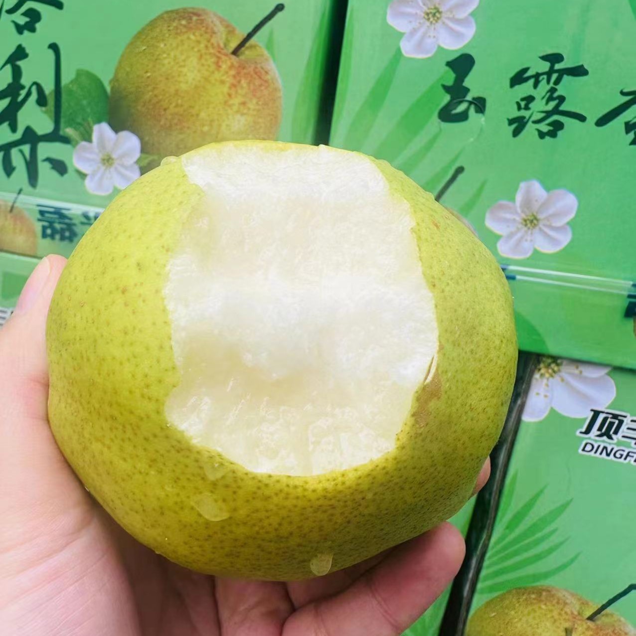 【玉露香梨】玉露香梨 1斤