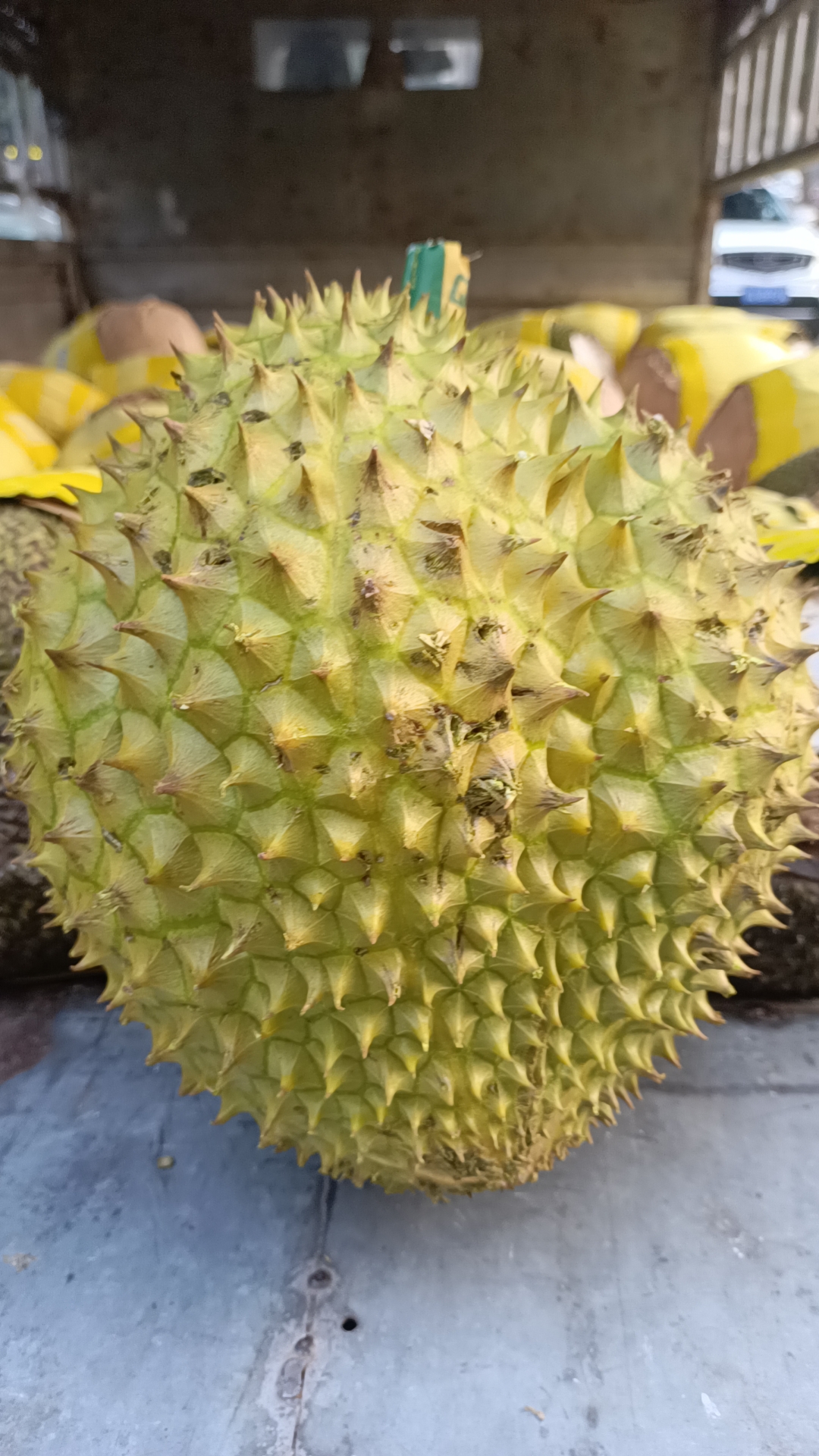 干扰榴莲 下单需要联系宋叔叔