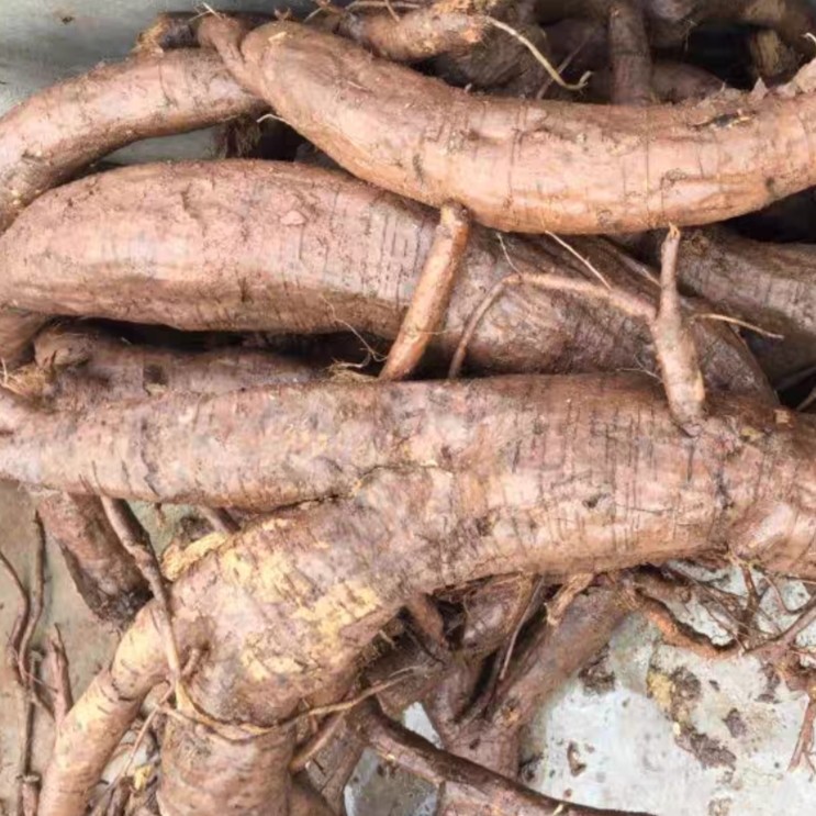 云南野生葛根500克大山晒干葛署煲汤无渣清甜泡水煮水佳品
