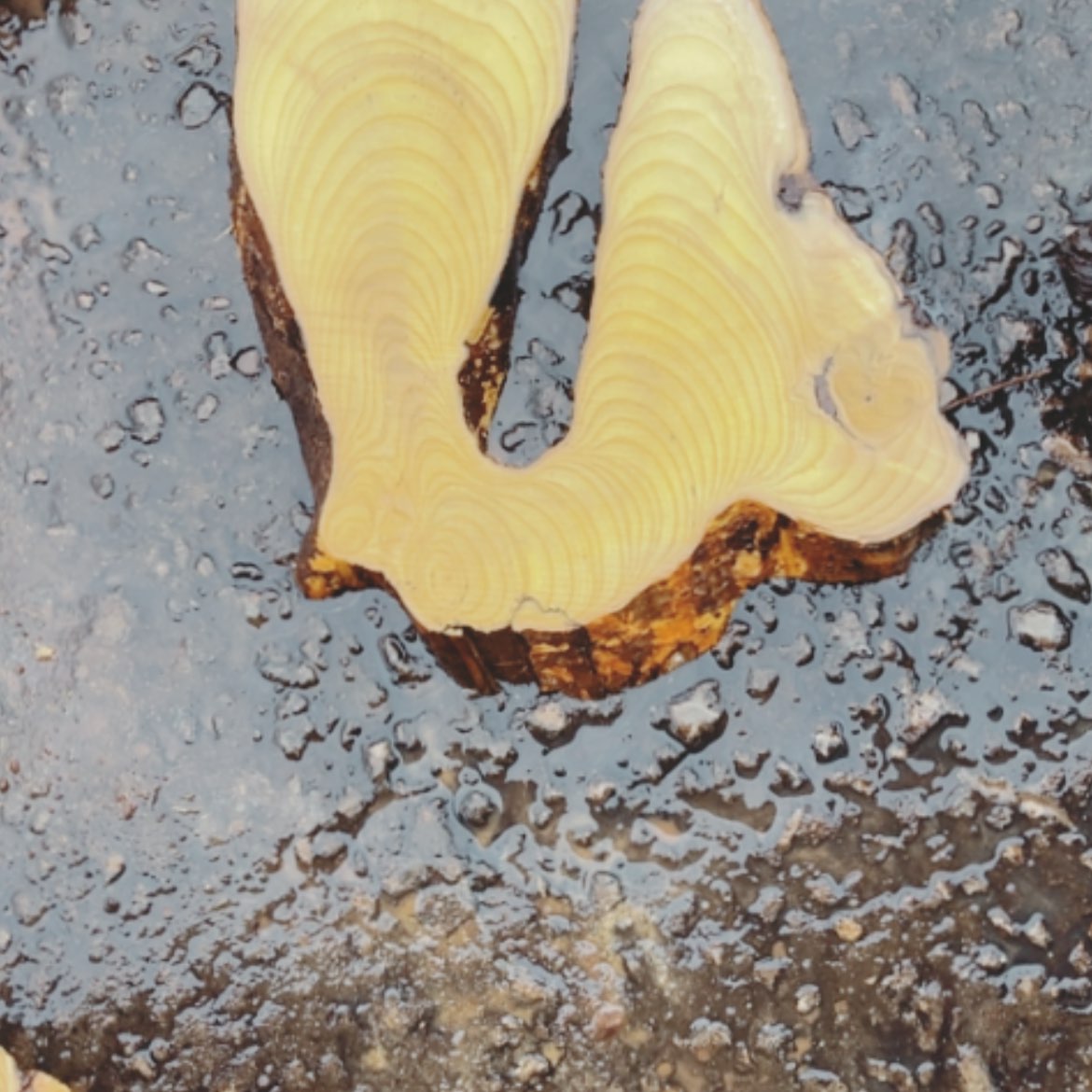 【闪购商品】雕刻木材风**色