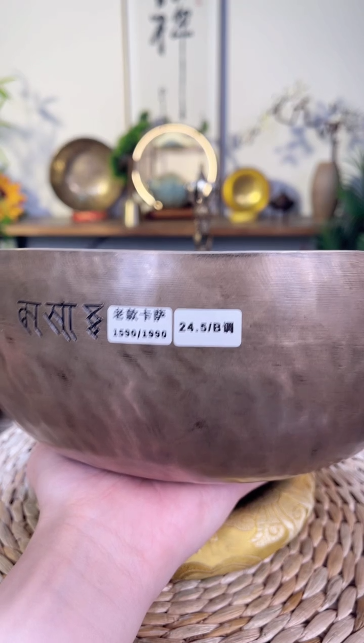 【闪购商品】卡萨颂钵口24.5CM-B调9号