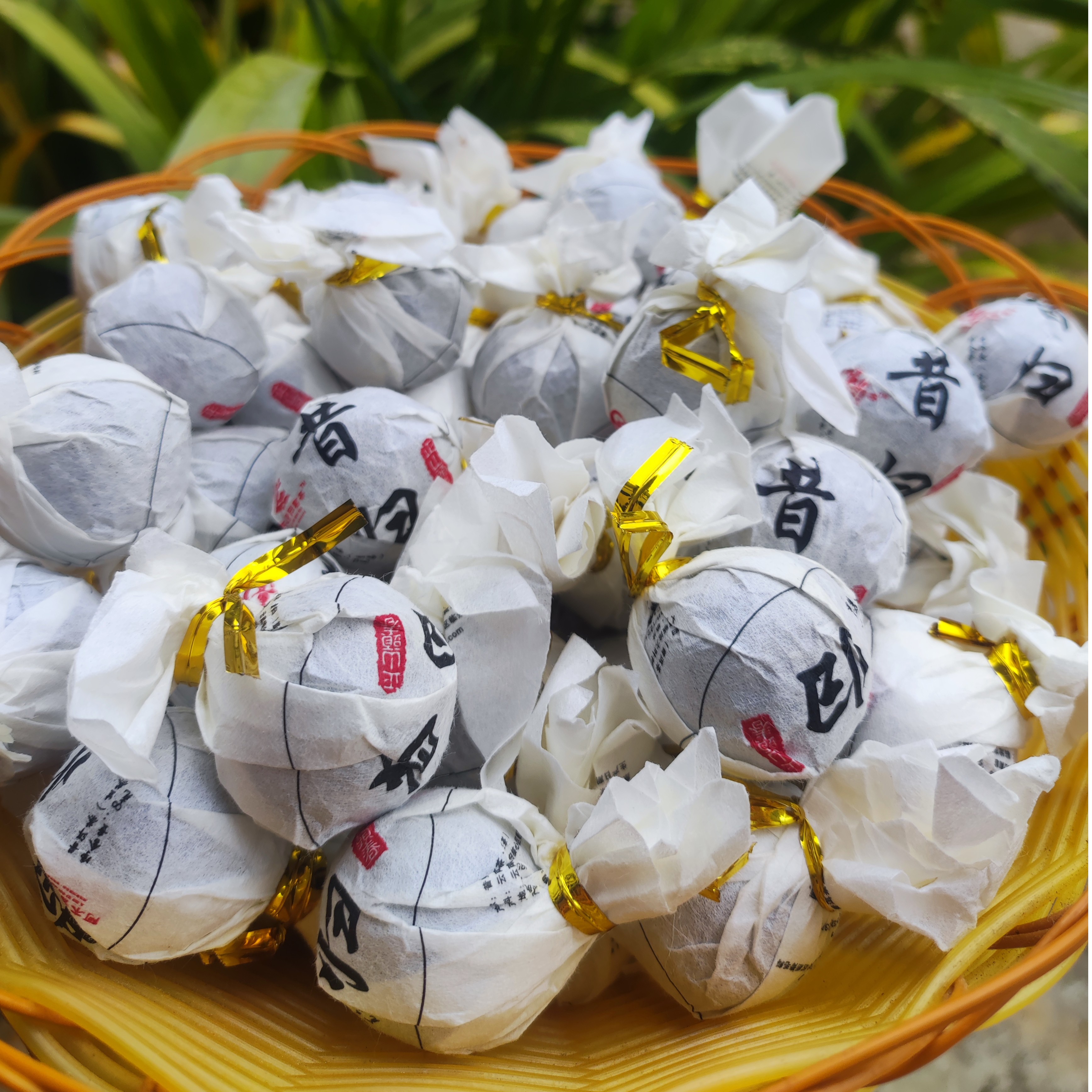 2021年昔归正山头春头采古树龙珠 普洱茶（生茶）