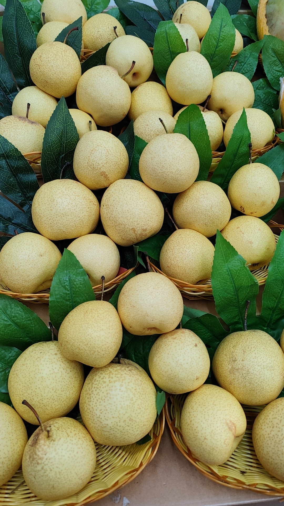 隰县蜜梨，梨界天花板