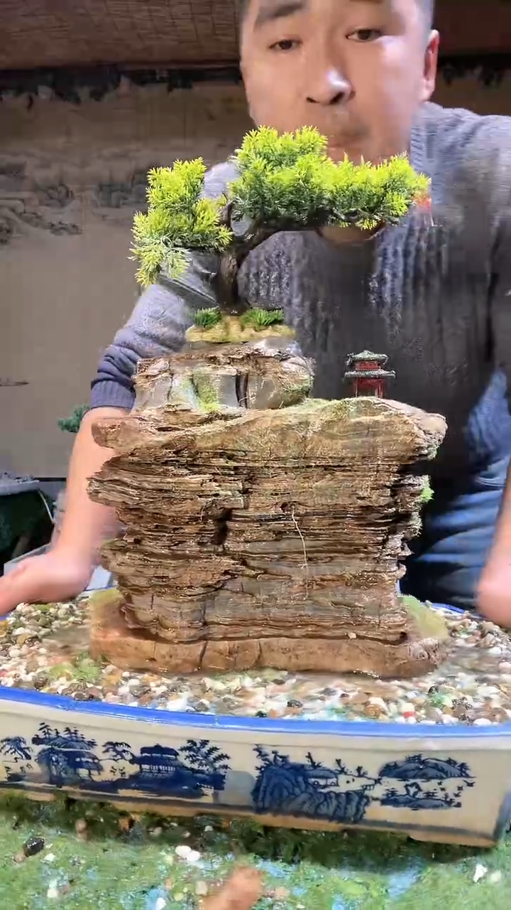 【闪购商品】微景观天然奇石