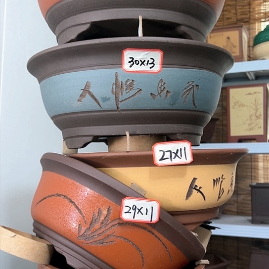 紫砂20CM以下100-5