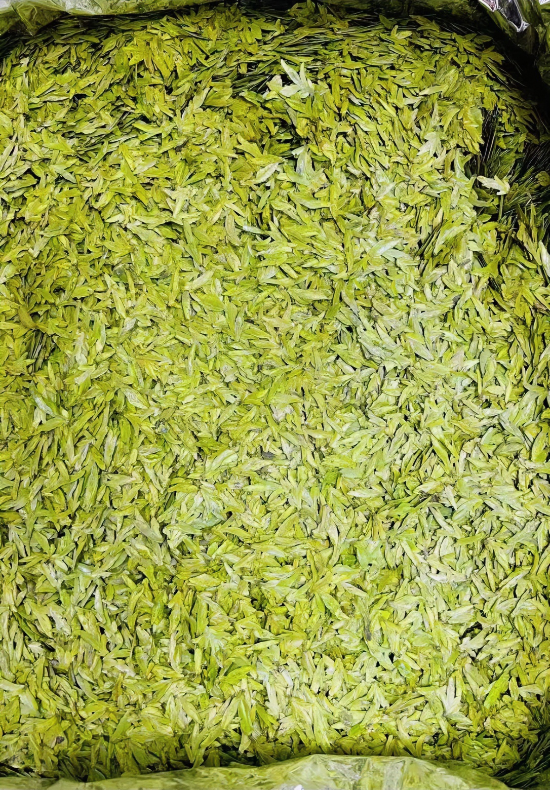 龙井·明前嫰芽·一叶一芽