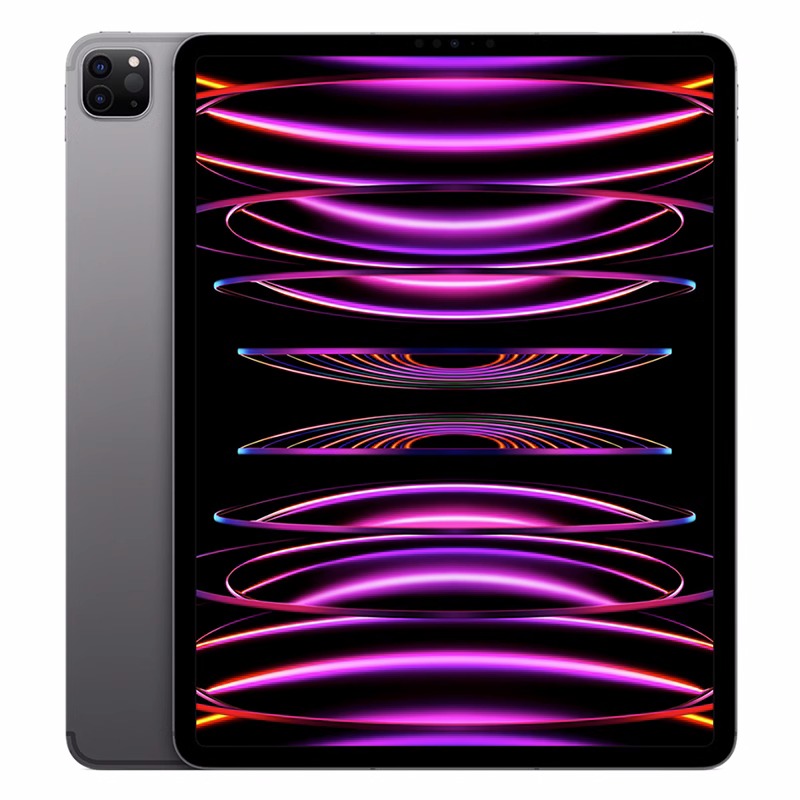 95新 Apple/苹果 ipad pro20款学生学习网课阅读绘画指纹平板电脑