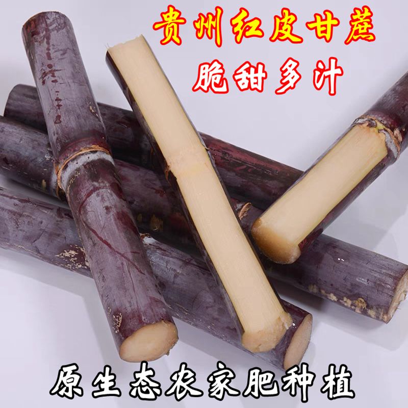 贵州农家原生态红皮新鲜甘蔗皮薄汁水多爽口现砍现发【坏果包赔】