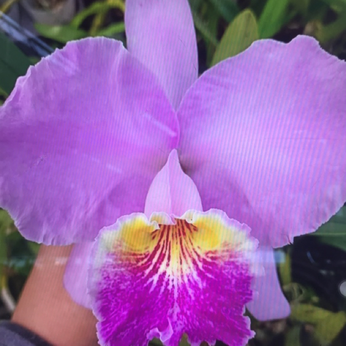 杂卡竞拍满89包邮