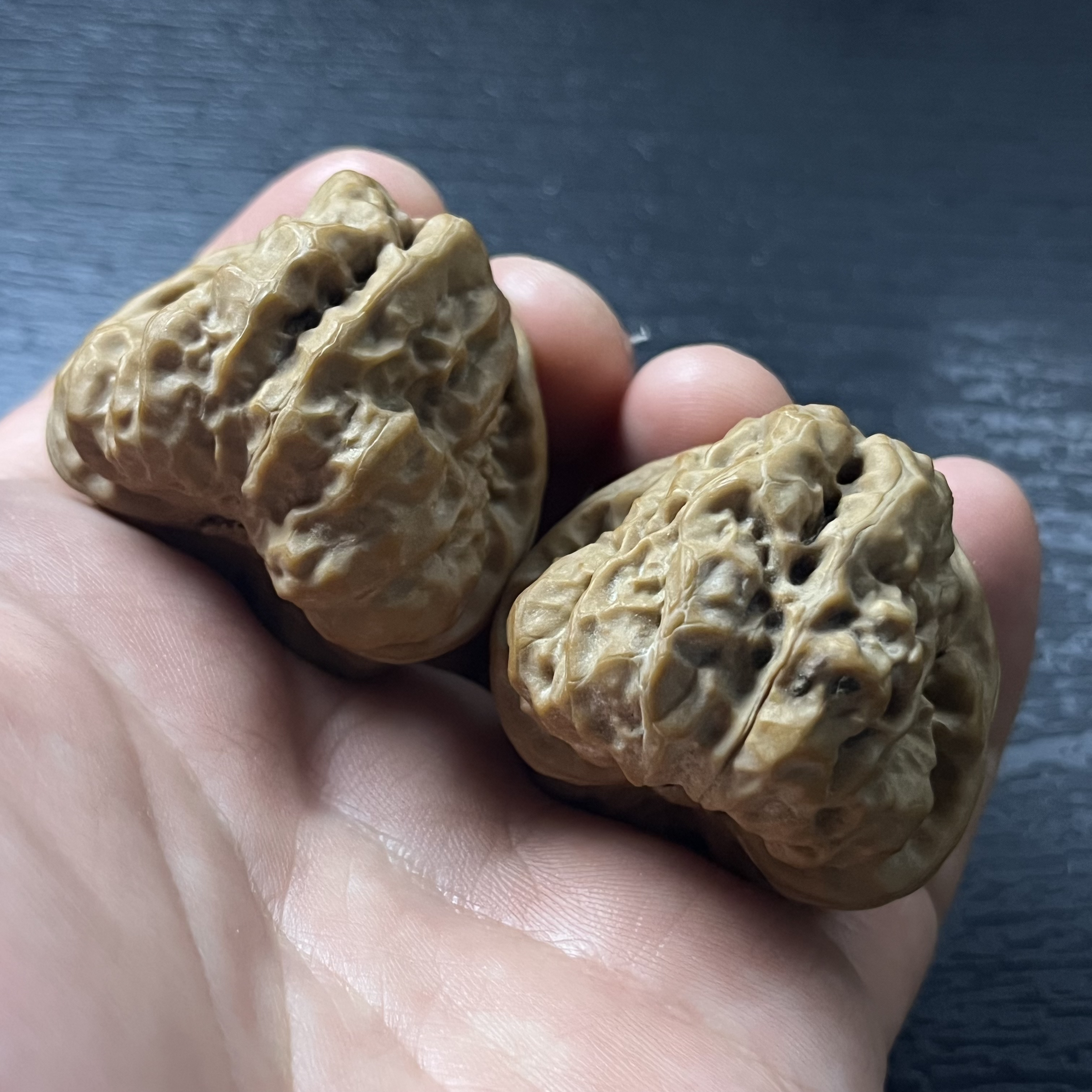 怀柔蛤蟆头 高桩三角蛙 峡谷深开 全品无修 一对毕业的等级 40-42