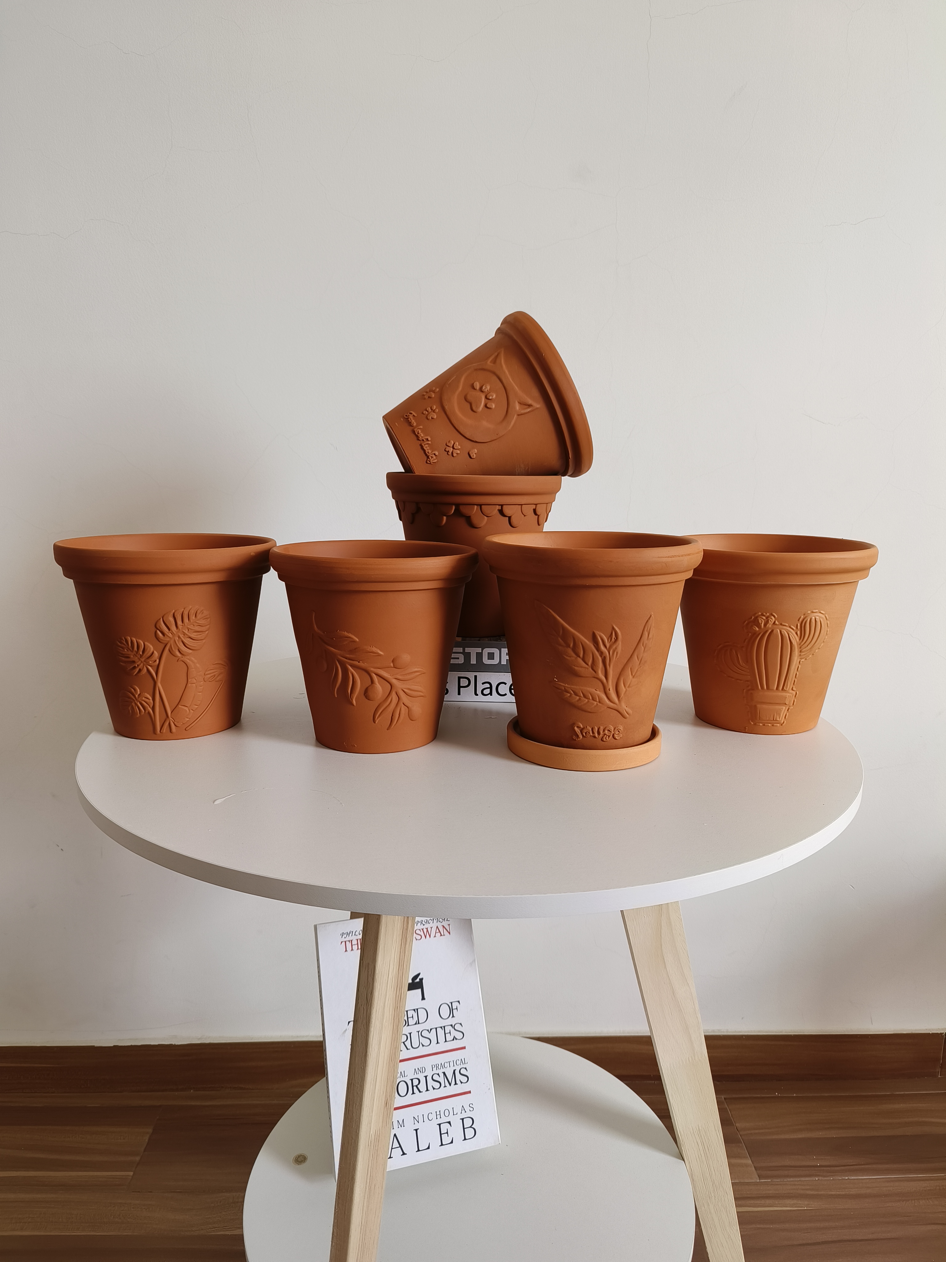 16*15陶土浮雕仙人掌龟背竹月季三角梅热植秋海棠海芋陶土花盆