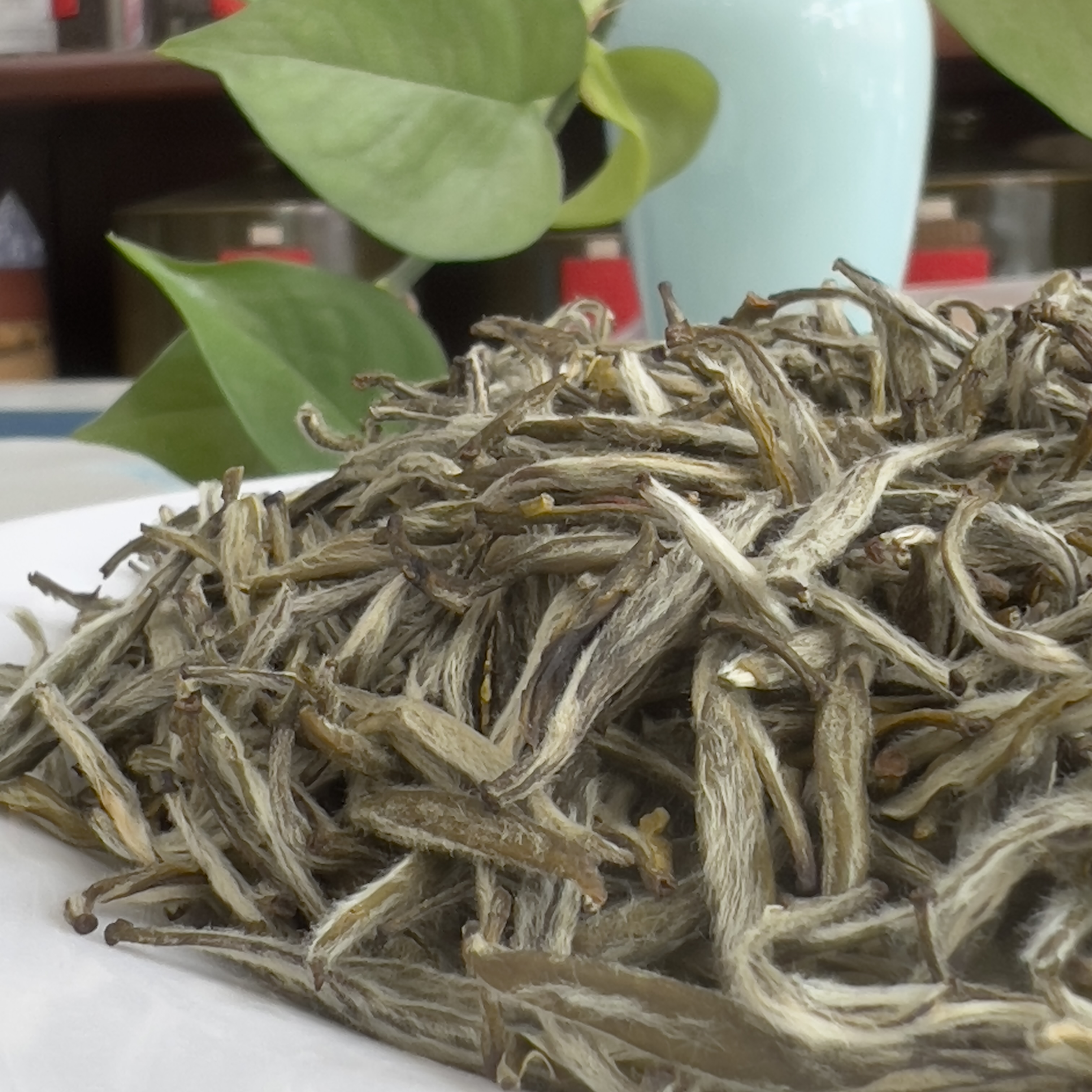 固安香片 精针王 茉莉花茶福建茶坯八窨春茶芽头饱满清香回味甘甜