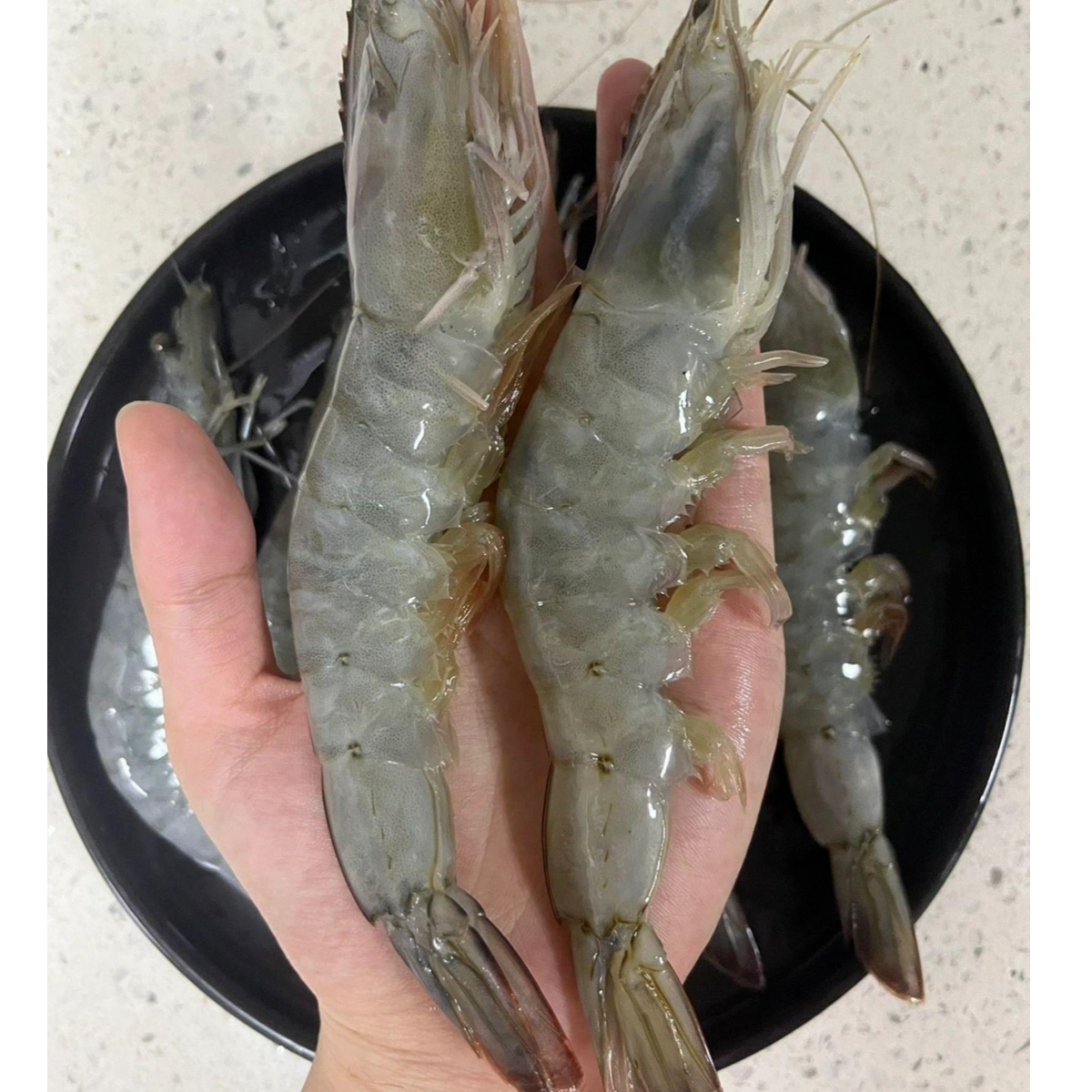 大个活虾2000g