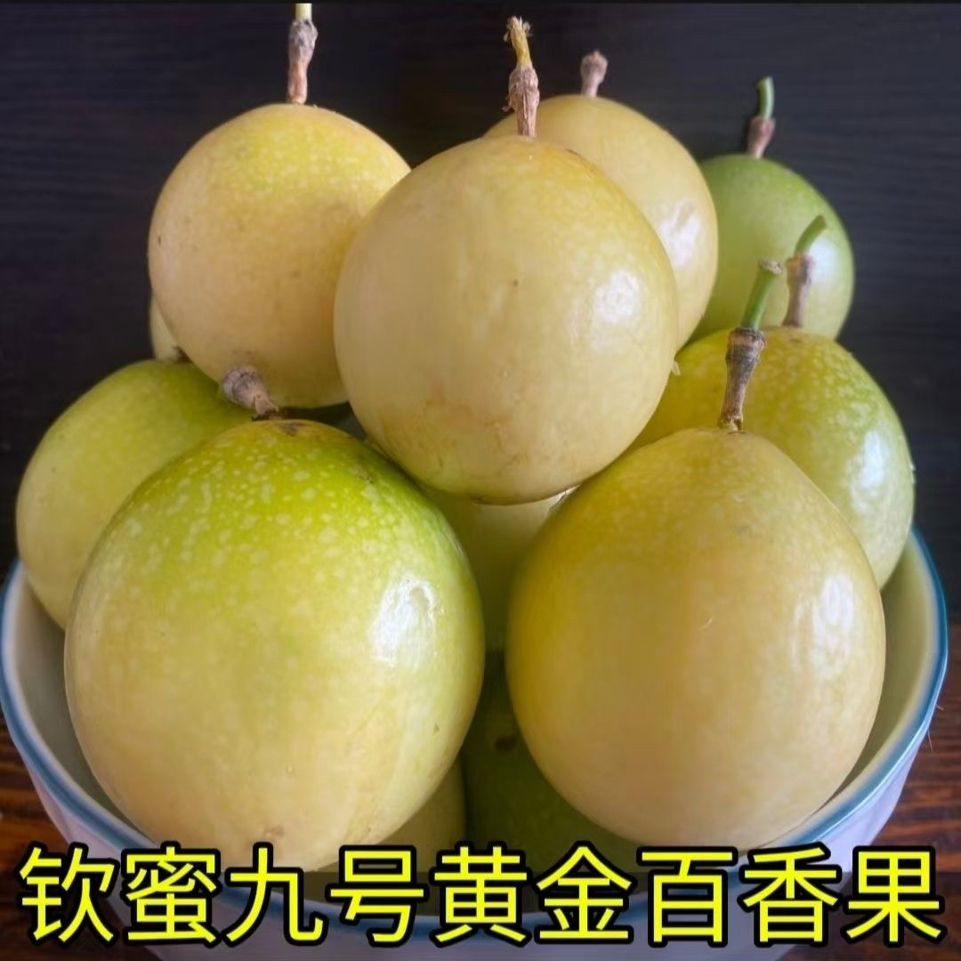 黄金百香果  钦蜜九号2斤
