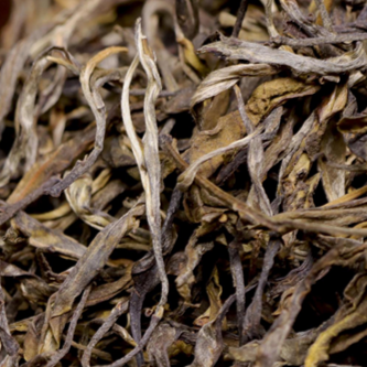 《犀牛塘》 帕莎24年春   甜蜜的花香果香，  普洱茶 /散装