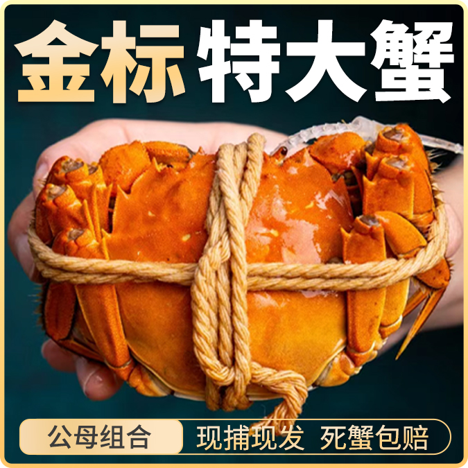 只只红大闸蟹公5.0-4.7两母4.0-3.7两拍4对送1对10只大闸蟹
