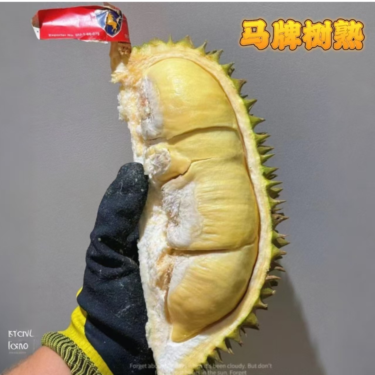 5号【马牌】泰国空运树熟A级金枕【一果一拍】【保5房肉】【花都同城小时达】