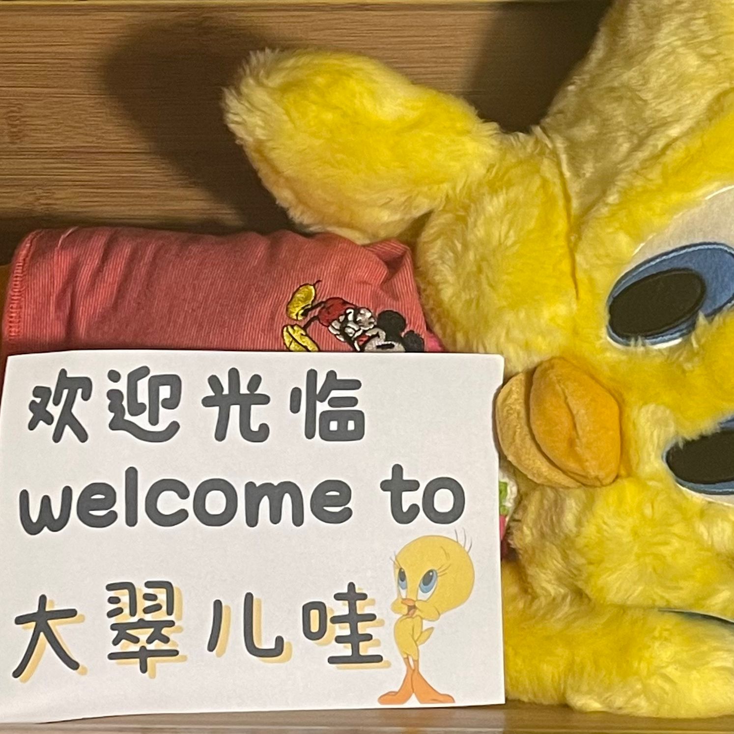（1号）大翠儿哇中古毛绒玩偶孤品（默认接受微瑕疵）中古老毛料玩偶
