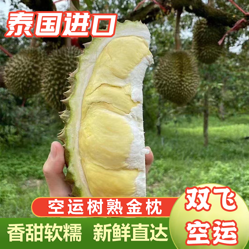 【买一送一 果园自卖  顺丰空运】泰国树熟榴莲树熟金枕A果现摘现发