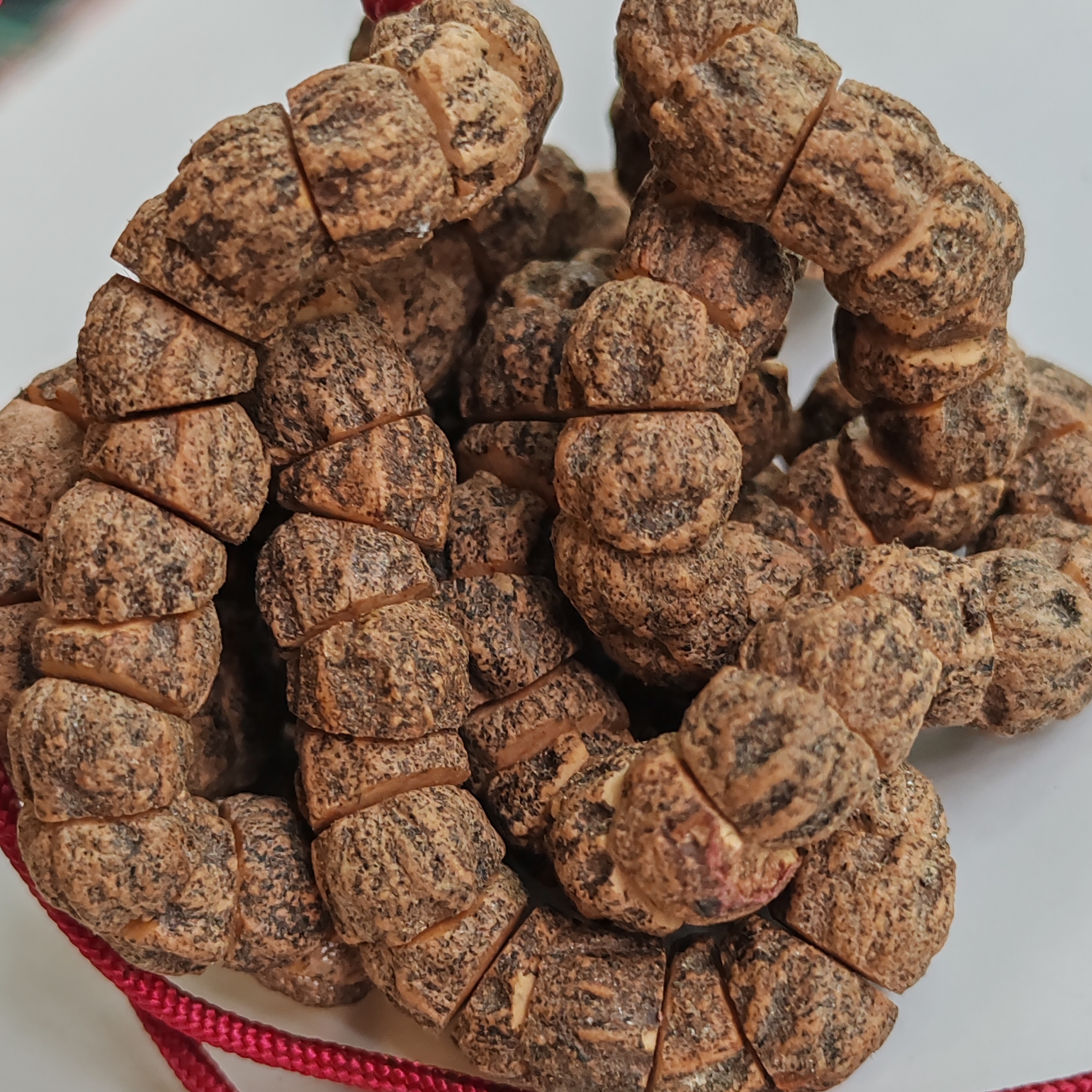 【百香几何大肠】一款黄油皮特脏几何大肠百香籽，规整度高，油性大