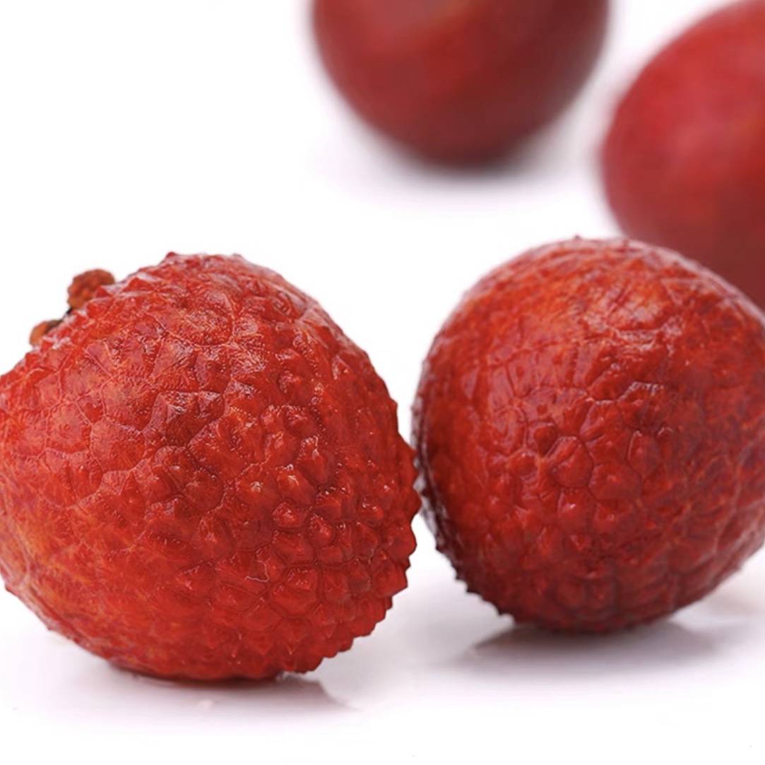 冰荔果树地栽盆栽南方种植