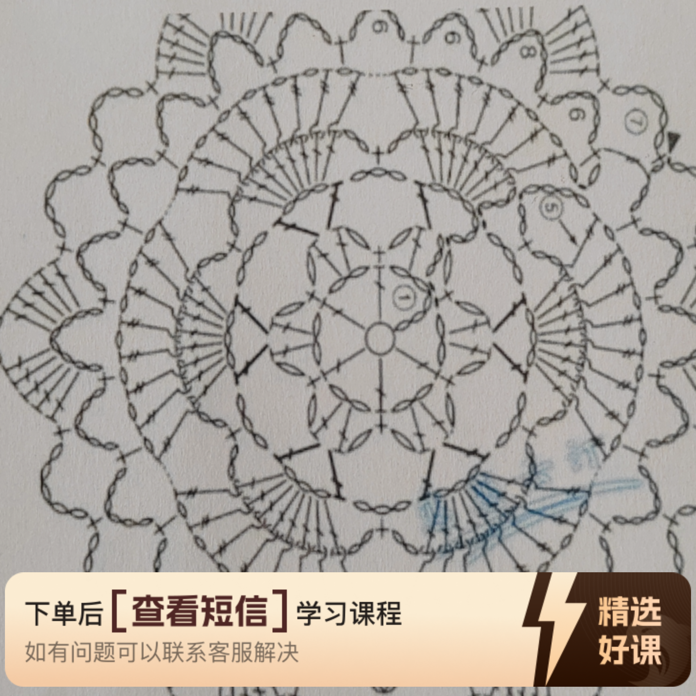 《繁花》开衫，套头衫视频教程（留意短信解锁课程）