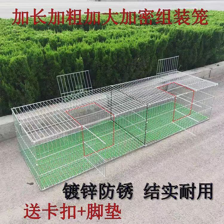 加粗鸽子笼笼鹌鹑笼铁丝专用特大号养鸡笼子家用处理鸡笼子家用型