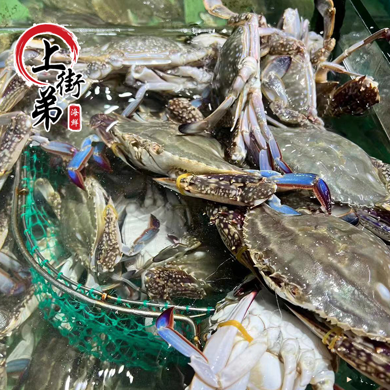 【梭子蟹】【保鲜不保活】上街弟海鲜梭子蟹正蟹2-3两/只3/5斤新鲜